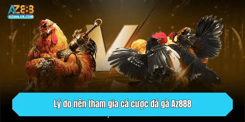 Lý do nên tham gia cá cược đá gà Az888