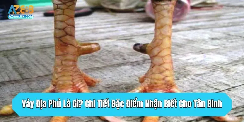 Vảy Địa Phủ Là Gì? Chi Tiết Đặc Điểm Nhận Biết Cho Tân Binh